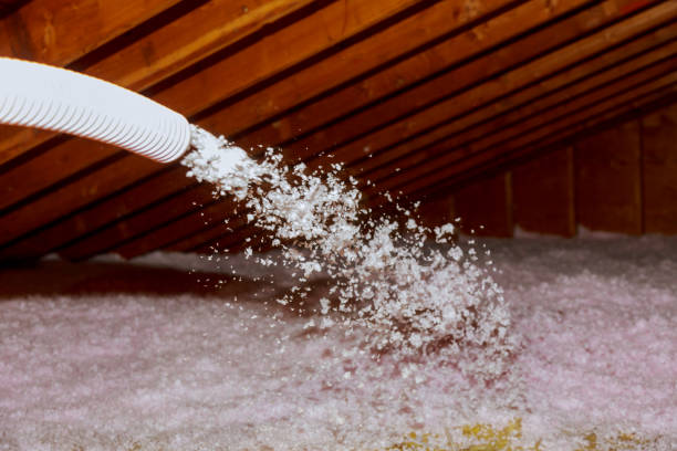 Best Eco-Friendly Insulation in Creola, AL