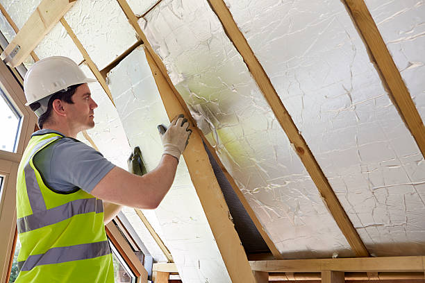 Best DIY Insulation Kits and Guidance in Creola, AL